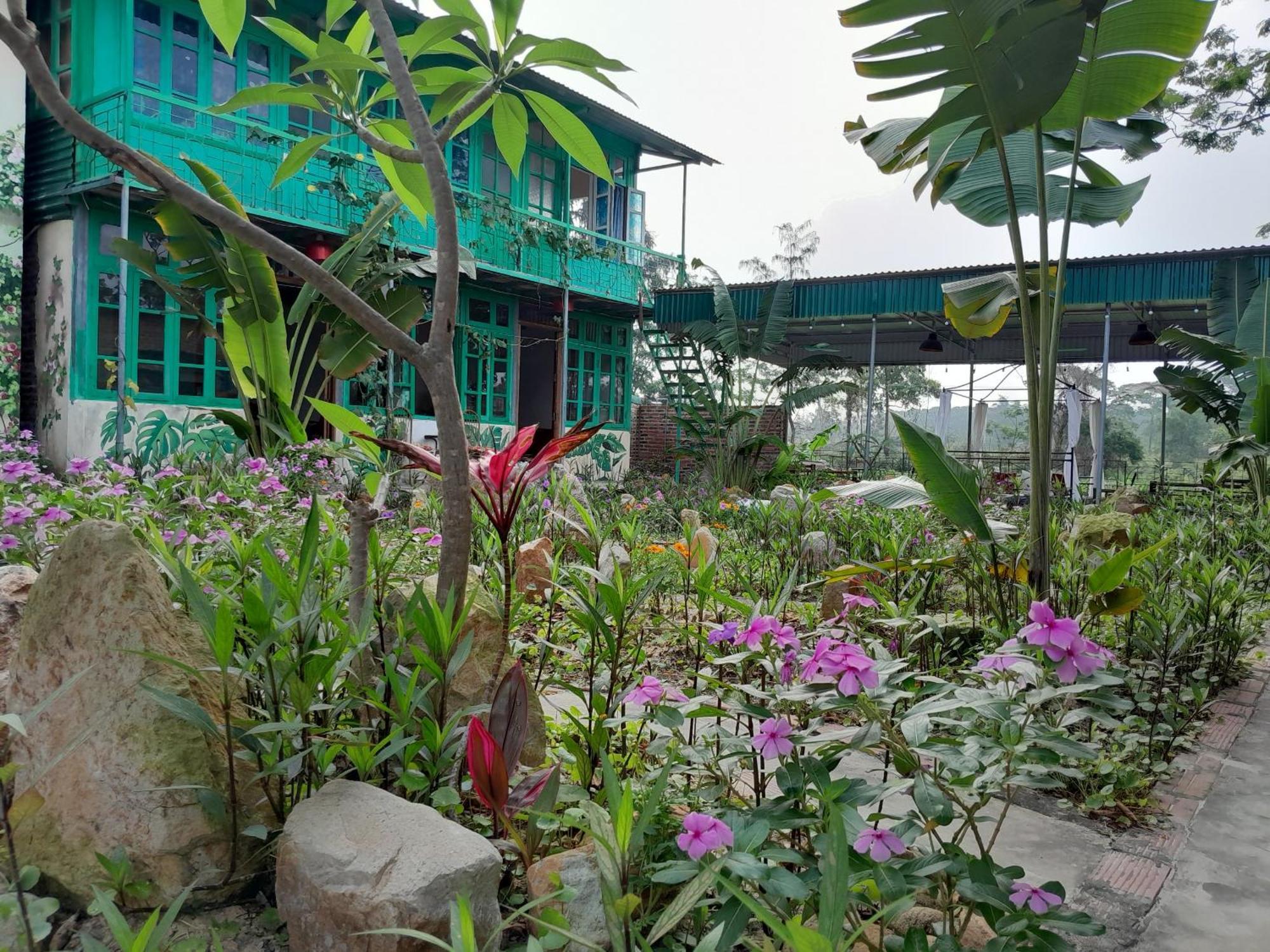 Mina Cafe & Stay Quan Lan Exterior foto