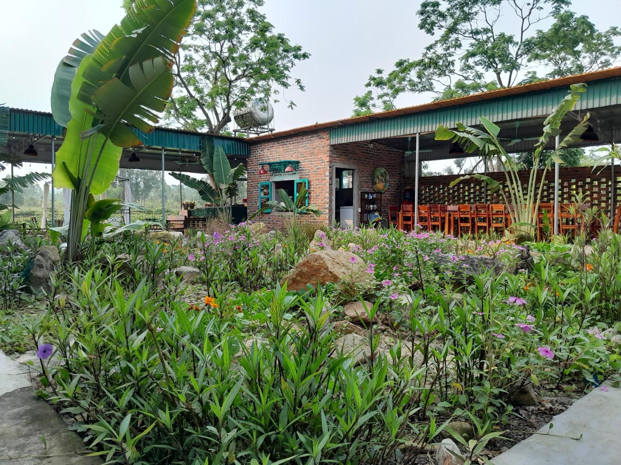 Mina Cafe & Stay Quan Lan Exterior foto